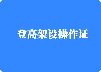 艹逼肏屄登高架设操作证